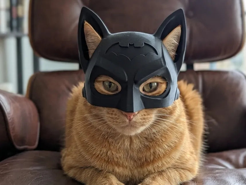 Cat Batman Mask - front view