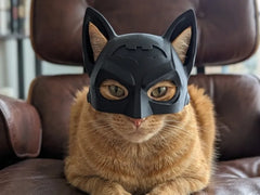 Cat Batman Mask - front view