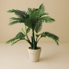Tripple Fancy Mudi Palm Plant(3.3 Feet Approx)