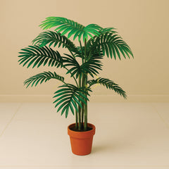 Palm Sticks Plant (4 Feet Approx )