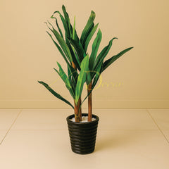 Wheat 3 Stick Plant (S)(4 Feet Approx)
