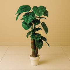 Fancy Mudi Money Plant Leaf Plant(3.4feet Approx)