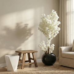 White Cherry Blossom Plant With Fiber Round Pot (6.5 Feet Approx)