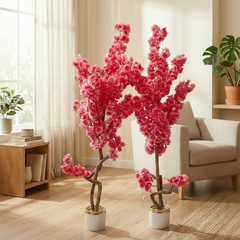 Pink Cherry Blossom Plant ( 3.5 Feet Approx)