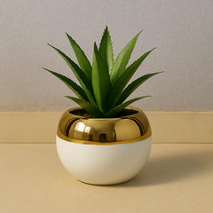 New Aloe Vera Table Ceramic Pot (Cd 11)(7inch Approx)