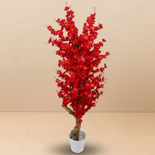Vibrant Red Cherry Blossom Tree (approx 6ft)