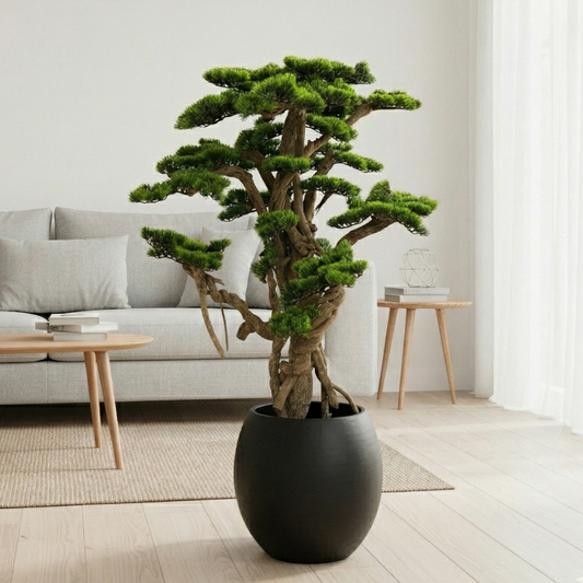 Natural Look Bonsai Tree With Fiber Fancy Pot (5 Feet Approx)