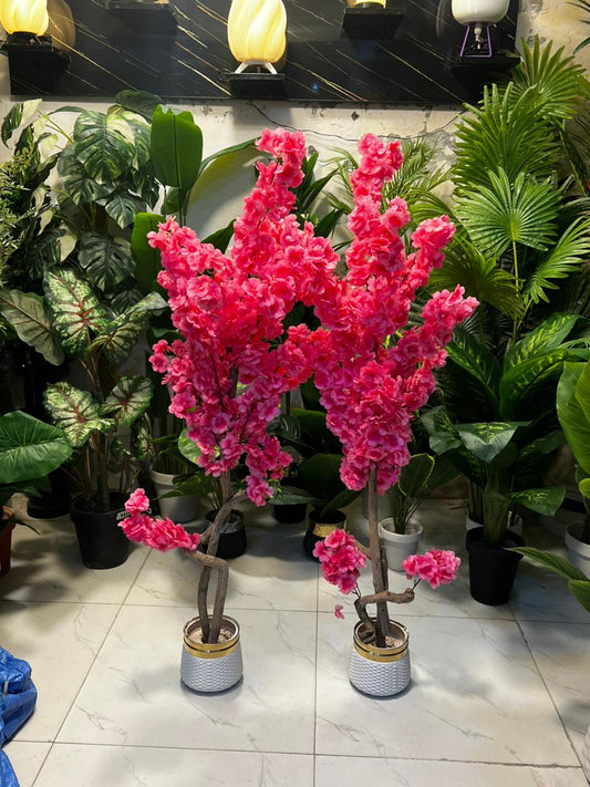 Pink Cherry Blossom Plant ( 3.5 Feet Approx)