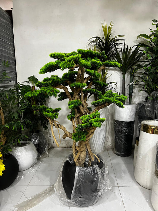 Natural Look Bonsai Tree With Fiber Fancy Pot (5 Feet Approx)