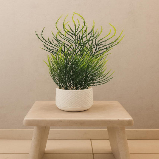 Table Plants With Green Fillers (9inch Approx) (Cd 1)