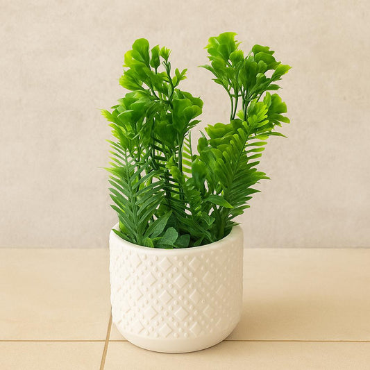 Stylish Green Bunch Table Plants With Plastic Pot (Cd5) (9inch Approxx)