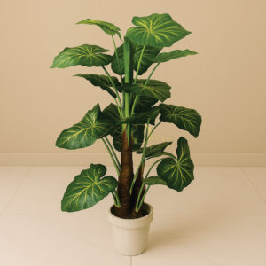 Elephantia Lead Tripple Mud Plant(3.4 Feet Approx)