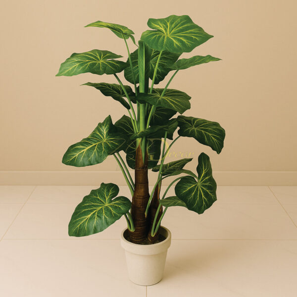 Elephantia Lead Tripple Mud Plant(3.4 Feet Approx)