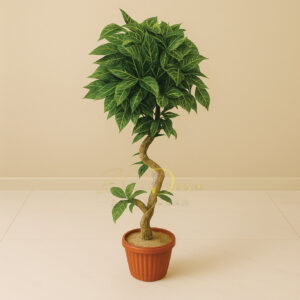 Mango Leaf Plant(5 Feet Approx)