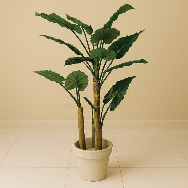 Alocasia Menti Leaf Plant (5 Feet)