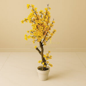 Blossom Plant Yellow(5 Feet Approx)