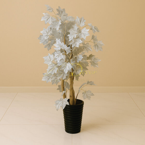 White Star Leaf(5 Feet)