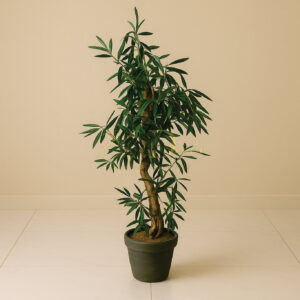 Bambo Leaf Natural Mudi (5 Feet Approx)