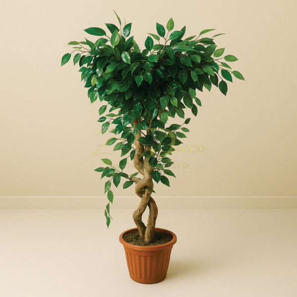 Green Ficus Leaf Plant (5 Feet Approx)