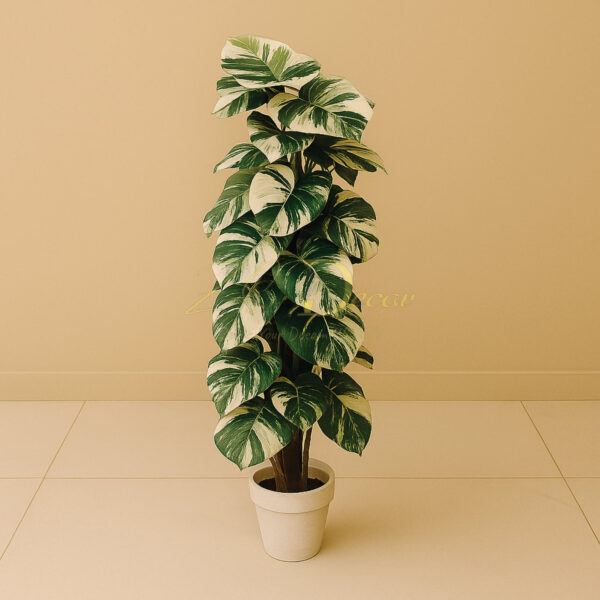 Yatai Leaf Bail Plant( 6 Feet)