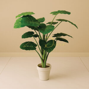 Green Leaf Pipe Plant (4 Feet Approx)