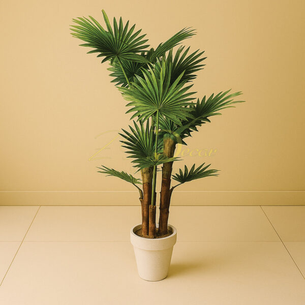 Gola Palm Tree 4 Sticks (6 Feet Approx)