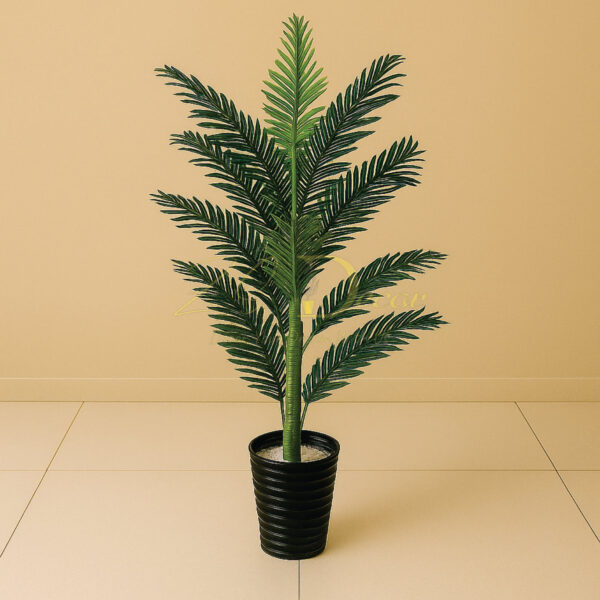 Full Palm Plant (M)(4.3feet Approx)