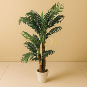 Chinese Mudi Palm Plant(5.2feet Approx)