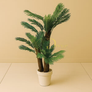 3P Coconut Palm Plant (6 Feet Approx)