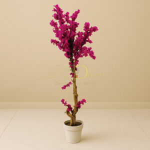 Blossom Plant Purple (5 Feet Approx)