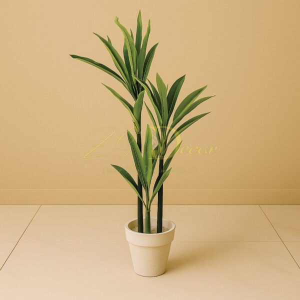 Snake Plant(6 Feet Approx)