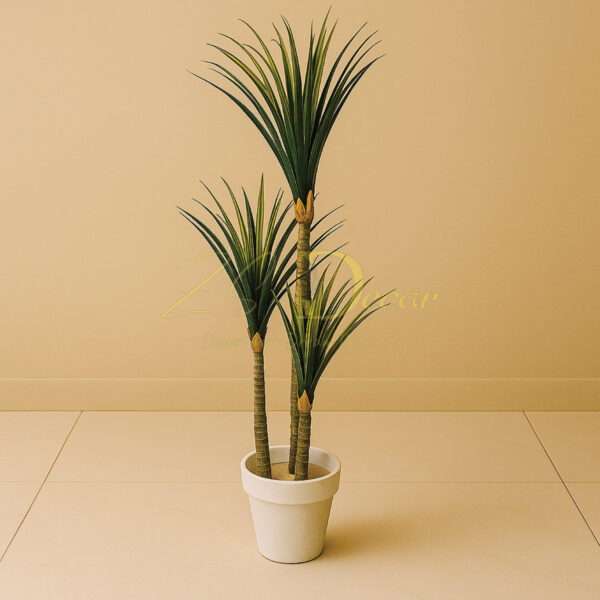 Aloe Vera 3Stick Plant(4 Feet Approx)
