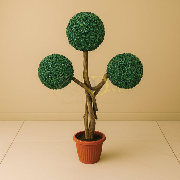 3 Grass Ball Plant(4 Feet Approx)