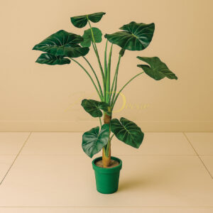 Elephant Ear Leaf Plant(3feet Approx)