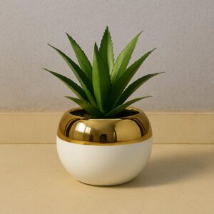 New Aloe Vera Table Ceramic Pot (Cd 11)(7inch Approx)