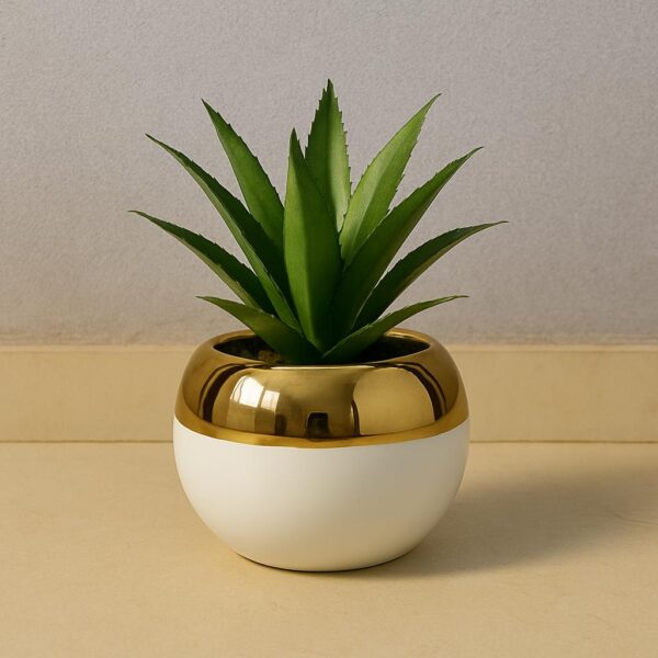 New Aloe Vera Table Ceramic Pot (Cd 11)(7inch Approx)