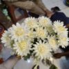 Artificial cute Chrysanthemums flower.