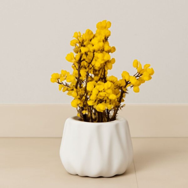 Forever Blooming – Baby Blossoms in Diamond Shaped Ceramic Pot (9inch Approx)