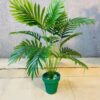 Artificial Small Palm Plant (2Feet Approx)