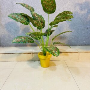 Artificial Doted Plant.(2 Feet Approx)