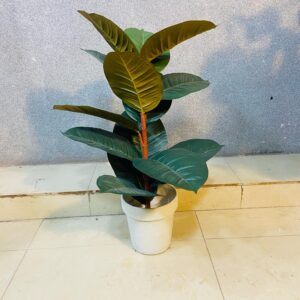 Artificial Ruber Plant.(16 inch Approx)