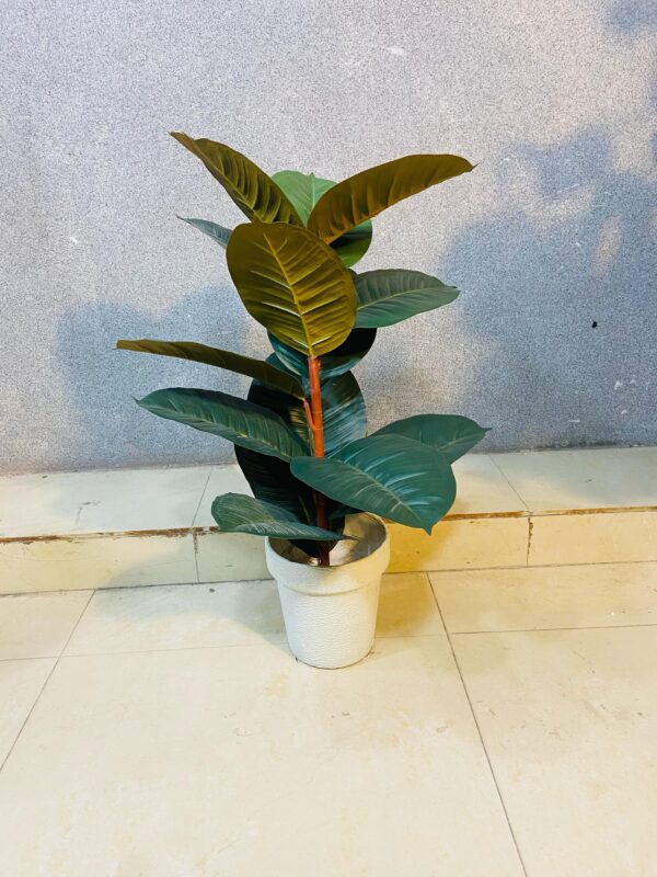 Artificial Ruber Plant.(16 inch Approx)
