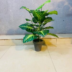 Artificial Elephantia Leaf Plant. (18inch Approx)