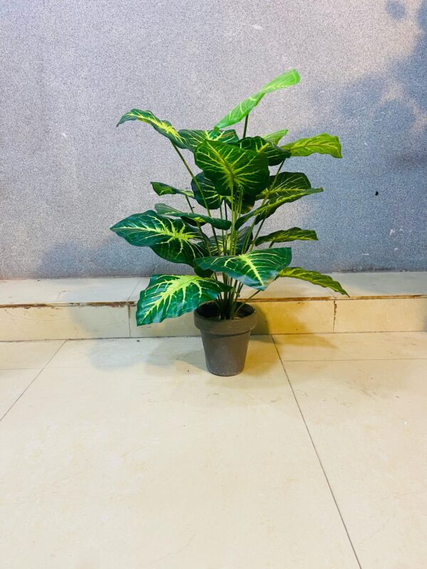 Artificial Elephantia Leaf Plant. (18inch Approx)