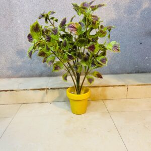 Artificial Coleus Leaf Plant Beautiful For Inoor.(18inch Approx)