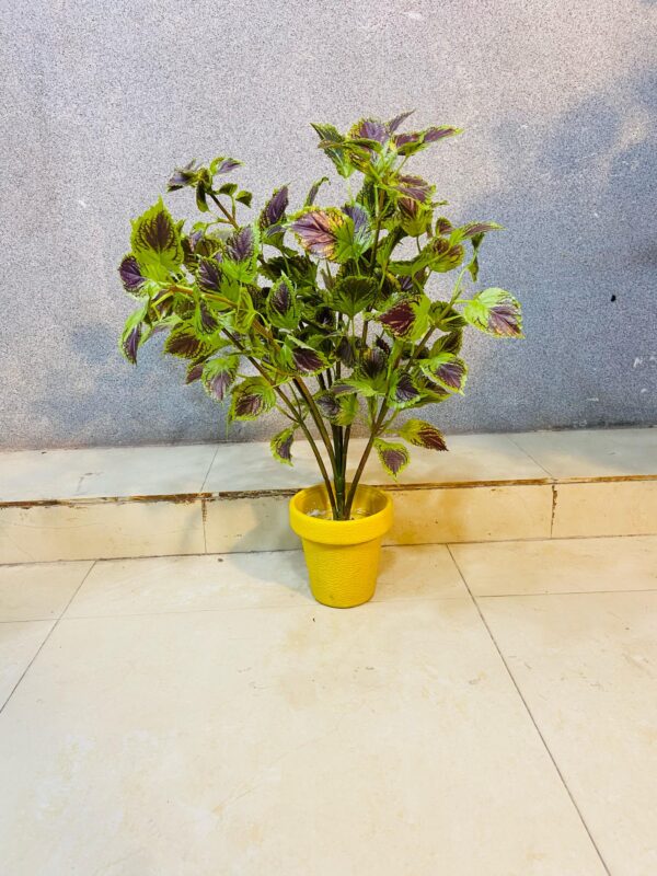 Artificial Coleus Leaf Plant Beautiful For Inoor.(18inch Approx)
