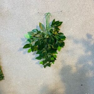 Artificial Weep Fig Leaves.