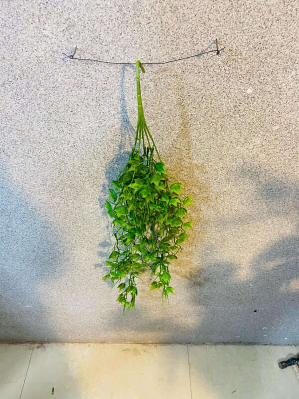 Artificial Green Vine Hanging Bunch/Bail.