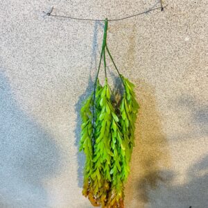 Artificial Hanging Plant: Water Thyme Hanging Plant.