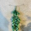 Artificial Green Hanging Bunch/Bail